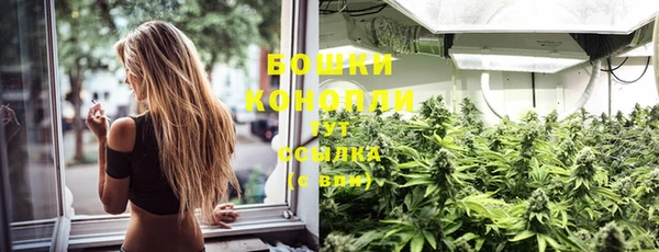каннабис Корсаков