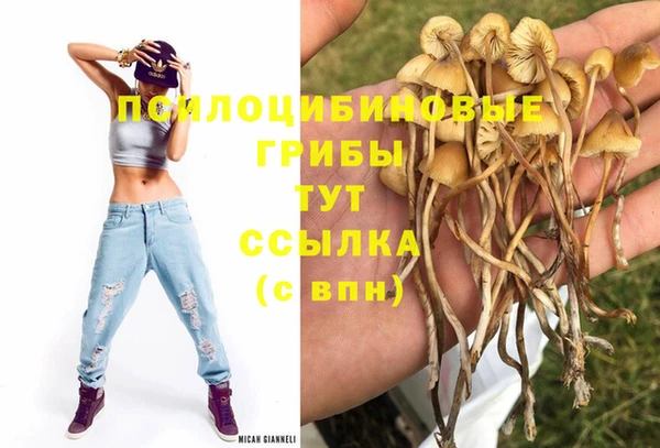 каннабис Корсаков