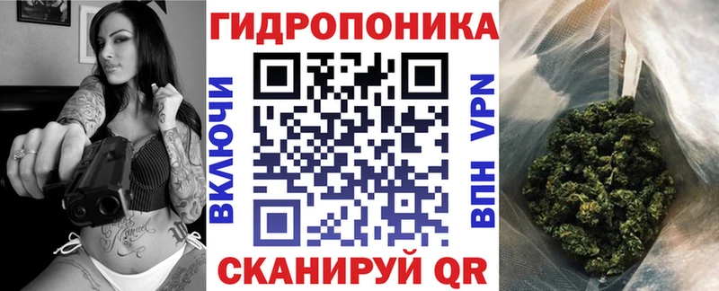 Купить закладки  Армянск  Бошки марихуана семена 
